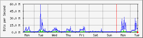 week